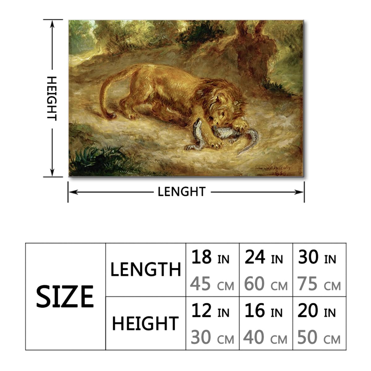 Amazon.com: HANZIMO Lion and Cayman Wall Art Lion Clutching a